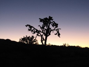IMG_0371