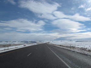 IMG_0410