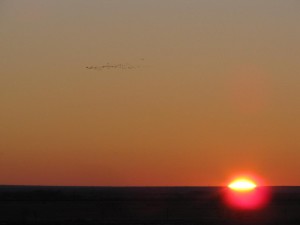 IMG_0422